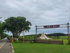 -空港花田景区