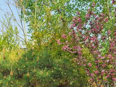 -思念果岭悦温泉