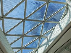 -棕榈MALL