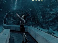 -芜湖新华联大白鲸海洋公园