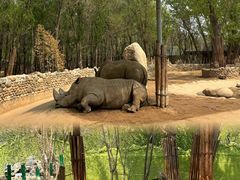 -北京野生动物园