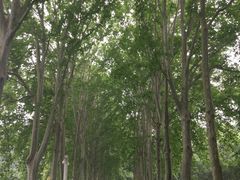 -河南省黄河迎宾馆