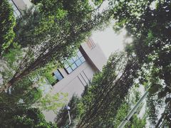 -黑龙江大学