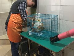 -甄爱宠物医院(疏影路店)