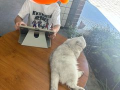 -贝贝宠物乐园(常青花园店)