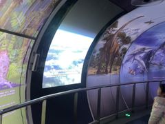 -房山世界地质公园博物馆