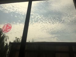 点击看大图 -卓玥国际月子会所(罗山路店)