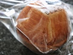 -BLACKSWAN黑天鹅(环球店)