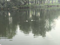 -四海公园(南山区)