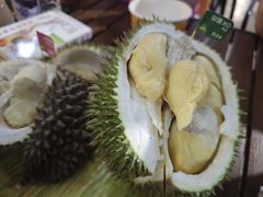 -榴莲BB 四季果园