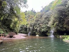 -龙苍沟森林公园