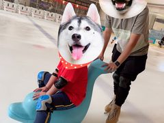 -冰纷万象滑冰场(二七万象城店)