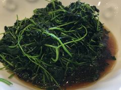 -城北食府(枫林店)