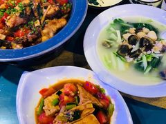 -谢三姐金奖啤酒鱼(总店)