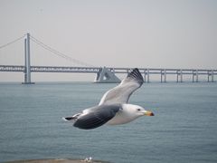 -星海广场