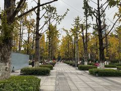 -两江幸福广场