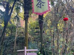 -十八棵（老龙井）御茶园(老龙井店)