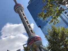 -陆家嘴中心绿地