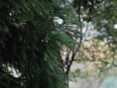-中山公园