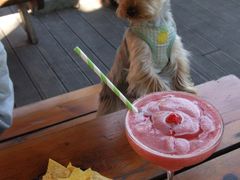 -Pistolera Mexican Cantina女枪手墨西哥餐厅(碧云路店)