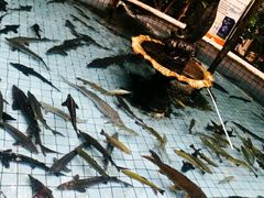 -异特麻辣香锅·烤鱼(怀柔店)