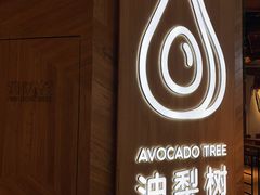 -油梨树AVOCADO TREE(嘉里中心店)