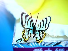 -爱之婚礼蛋糕(建外SOHO西区店)