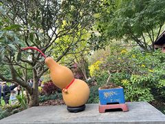 -杭州植物园