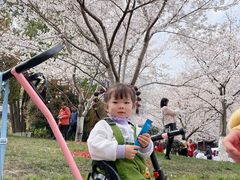 -堤角公园