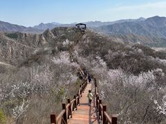 -大岭沟猕猴桃谷风景区