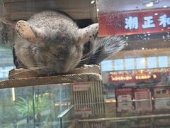 -凯德广场(学府店)