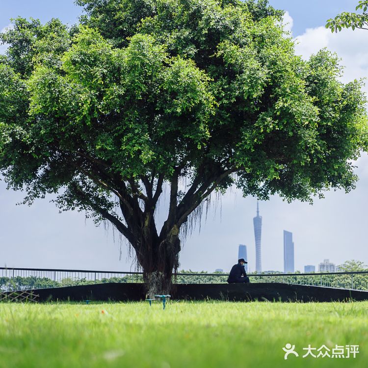 广州本地人去哪玩｜8个适合散步的公园