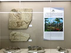 景点-房山世界地质公园博物馆