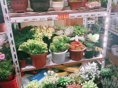 -万商花鸟市场