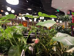 -半秋山西餐厅(巴南万达广场店)