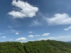 -关山草原