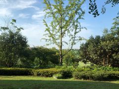 -浙江安吉JW万豪酒店·万豪中餐厅