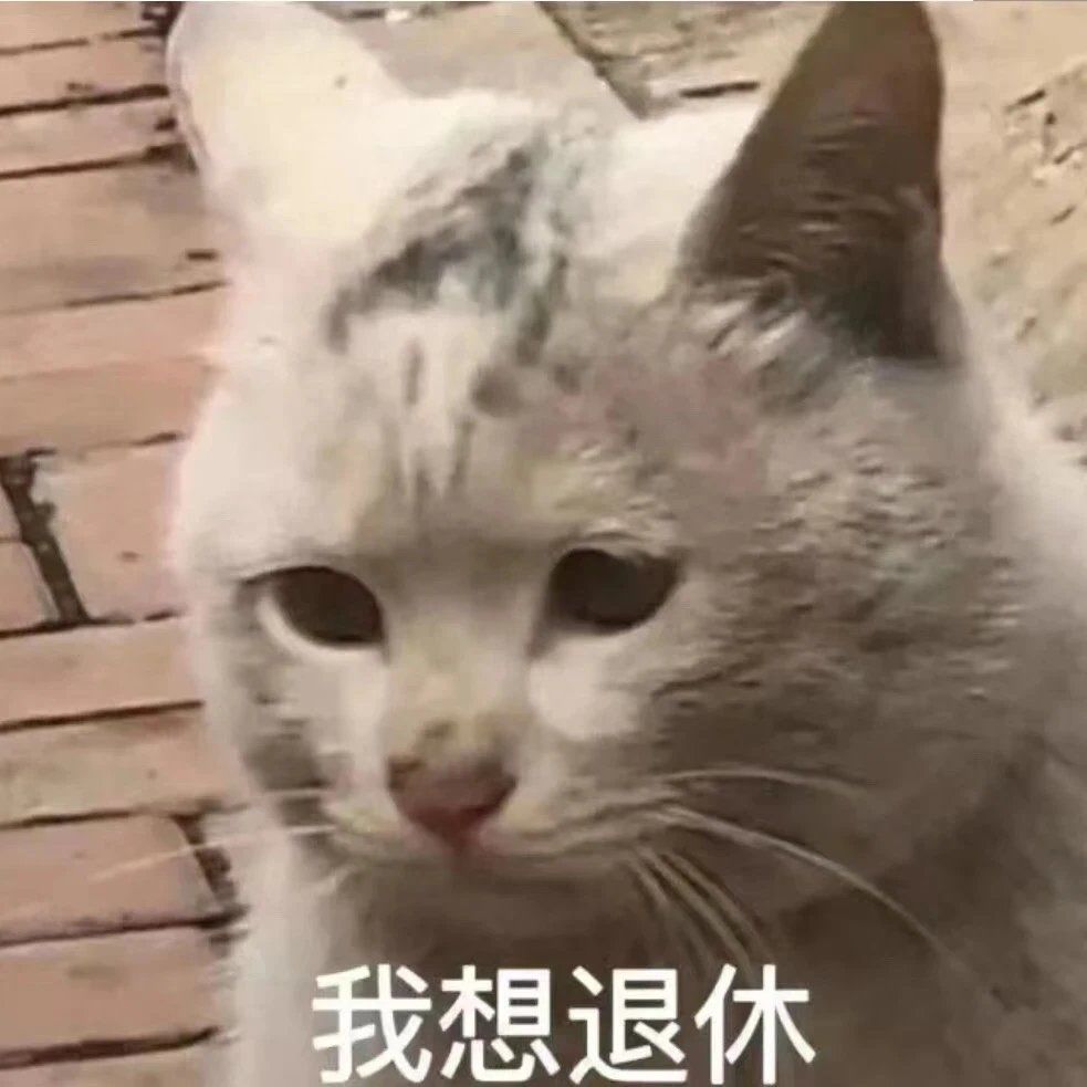 猫咪表情包大放送