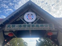 -上海海湾国家森林公园