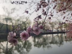 -颐和园