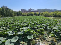 -长兴太湖图影湿地文化园