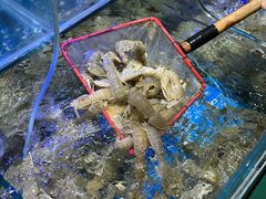 -前王院•巧克力海鲜市集餐厅(万平口店)