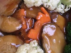 -T館·花园艺术餐厅