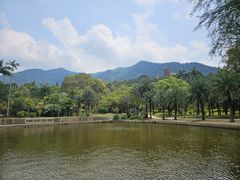 -深圳仙湖植物园