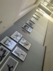 -OM瑜伽教练培训学院