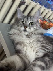 -润复丝·泽发防脱头皮管理