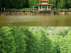 -深圳仙湖植物园