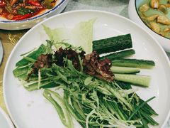 -邵年鸽(杨庄店)
