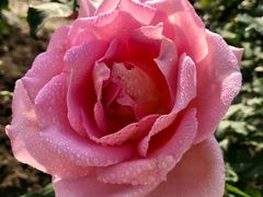 -人民公园(罗湖区)