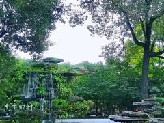 -房湖公园